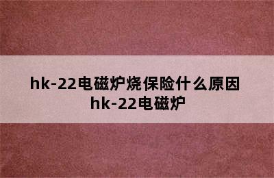 hk-22电磁炉烧保险什么原因 hk-22电磁炉